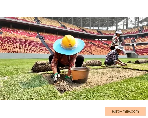 2026世界杯将采用高科技传感器实时监控球场草坪湿度提升比赛体验 2026世界杯将采用高科技传感器实时监控球场草坪湿度提升比赛体验